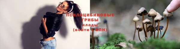 дживик Медногорск