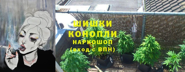 МДПВ Медвежьегорск